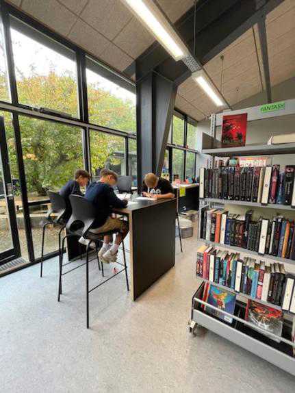 Biblioteket - elever arbejder i grupper