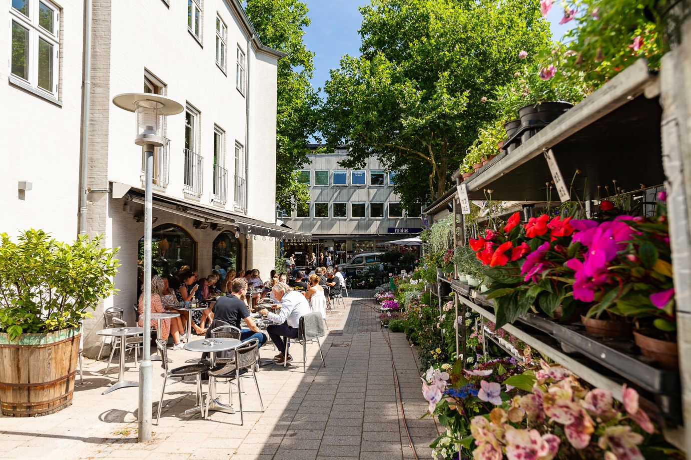 Cafeliv og blomster på en solskinsdag i Lyngby