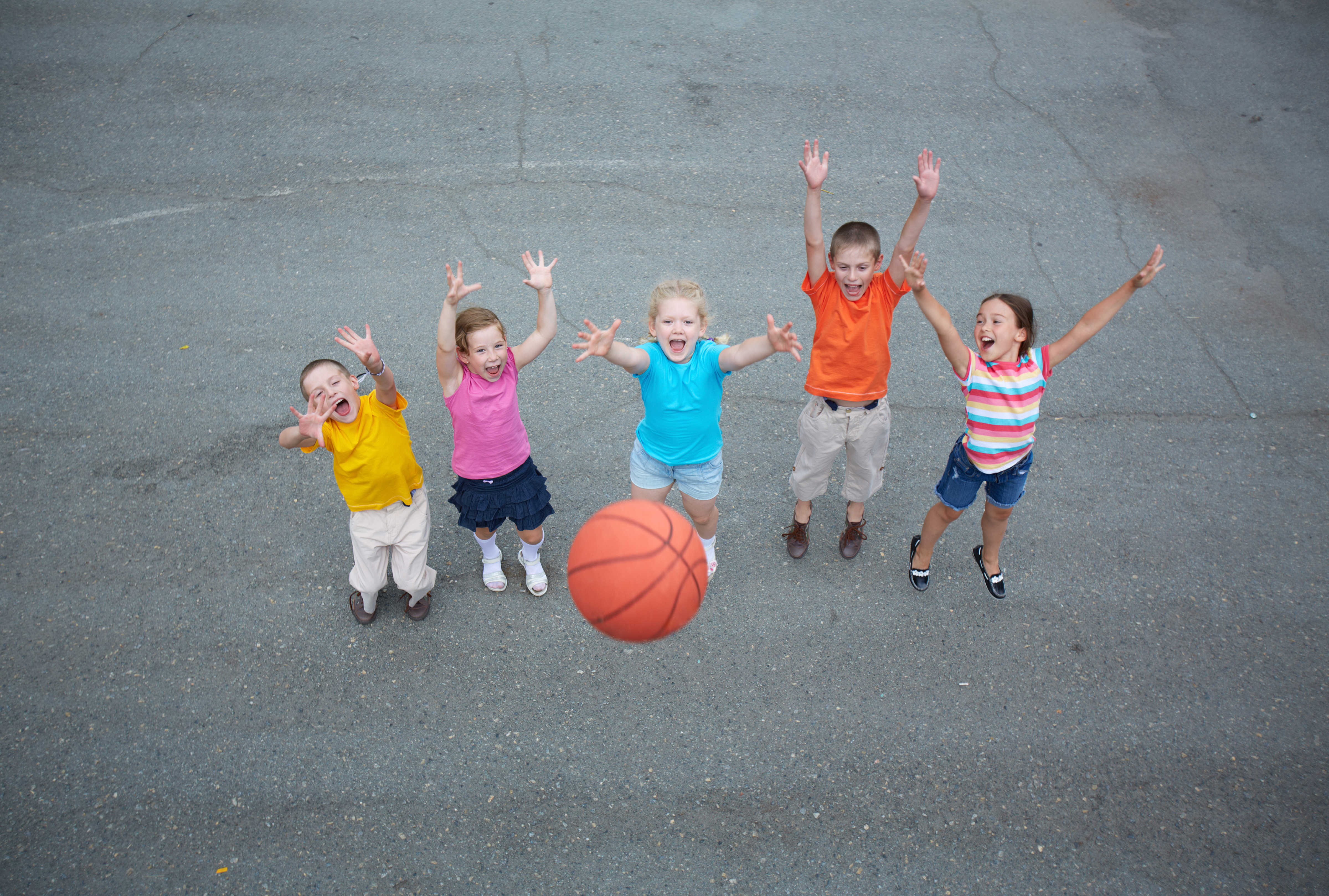 Basket billede